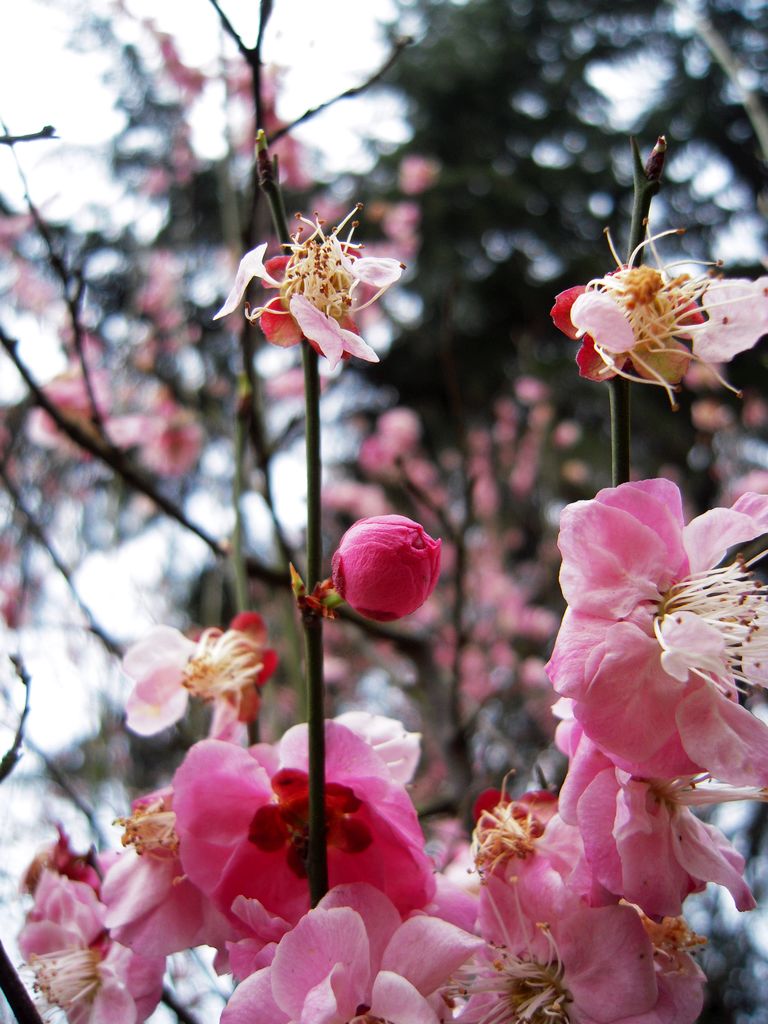 DSCN3267.JPG