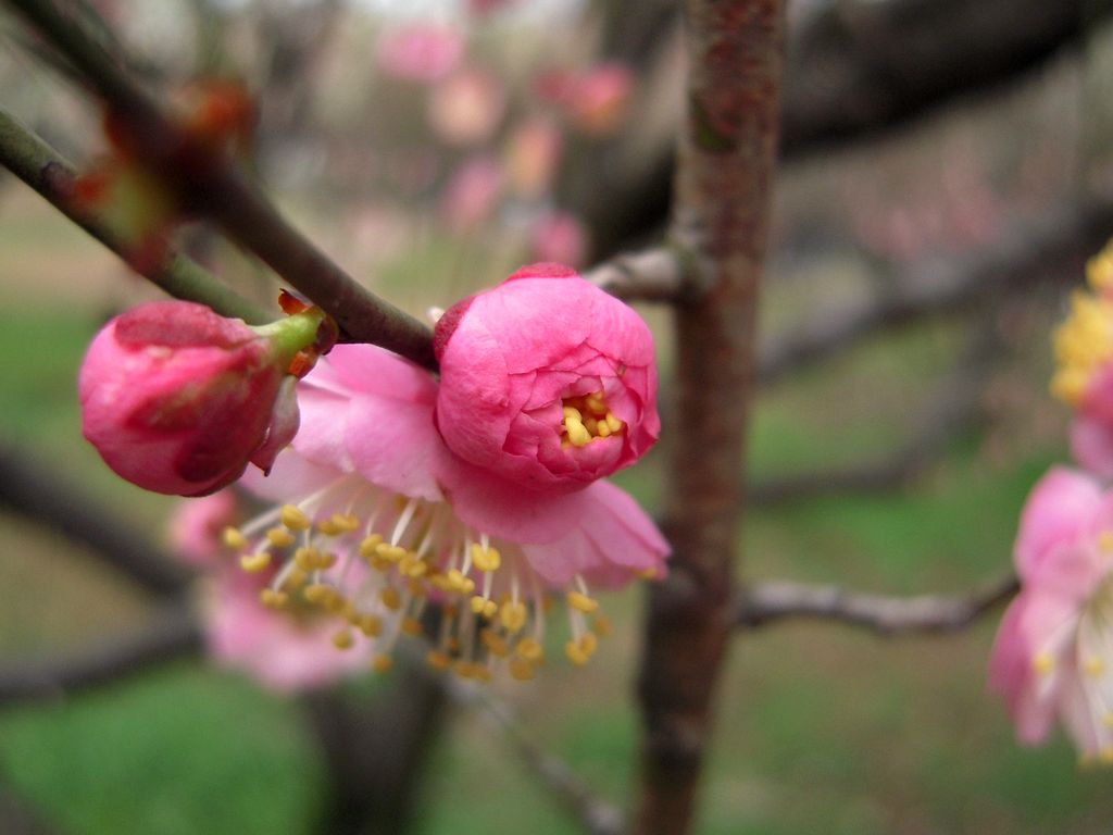 DSCN3269.JPG