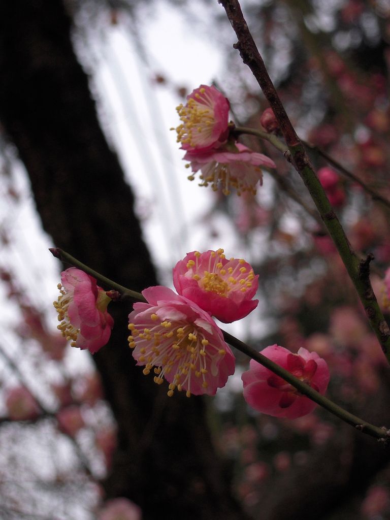DSCN3270.JPG