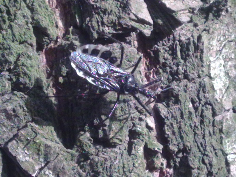20100523041.jpg