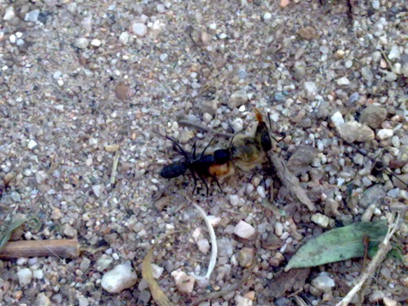 20100523040.jpg