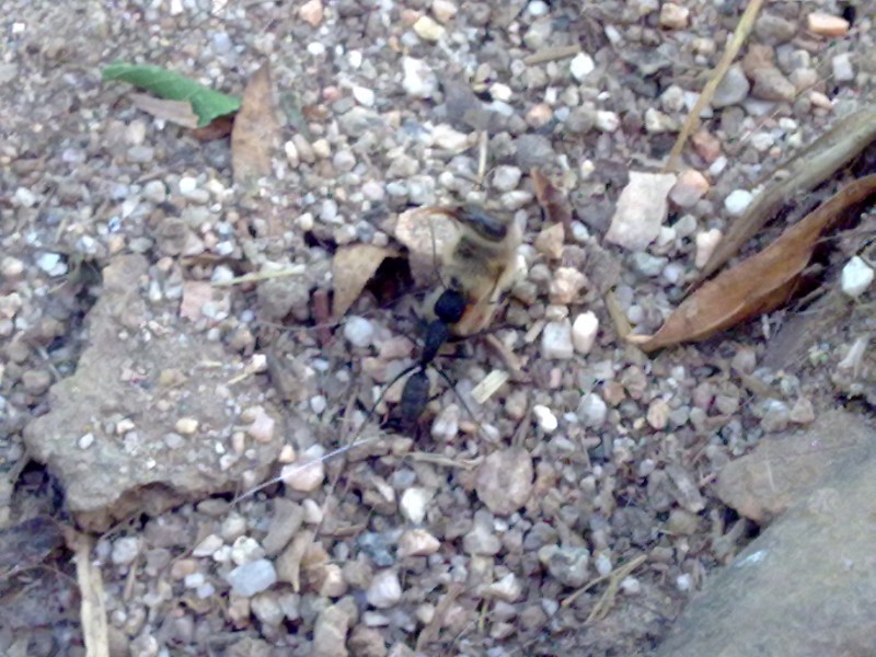 20100523038.jpg