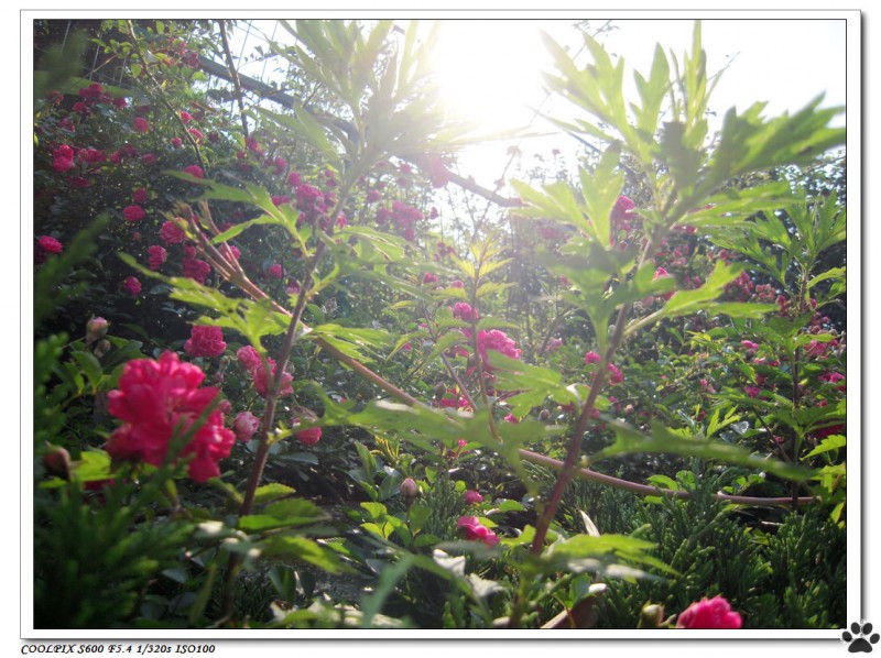 DSCN3610.JPG