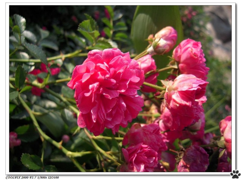DSCN3607.JPG