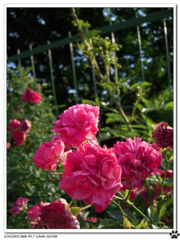DSCN3616.JPG