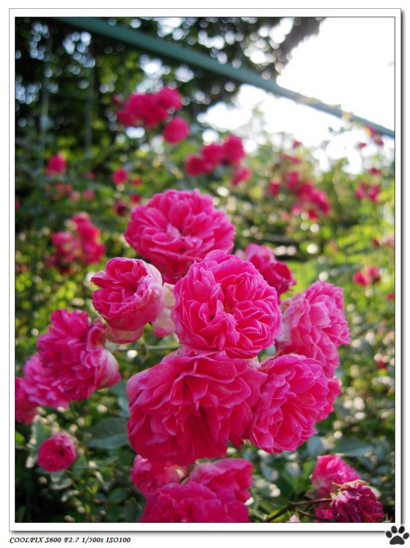 DSCN3615.JPG