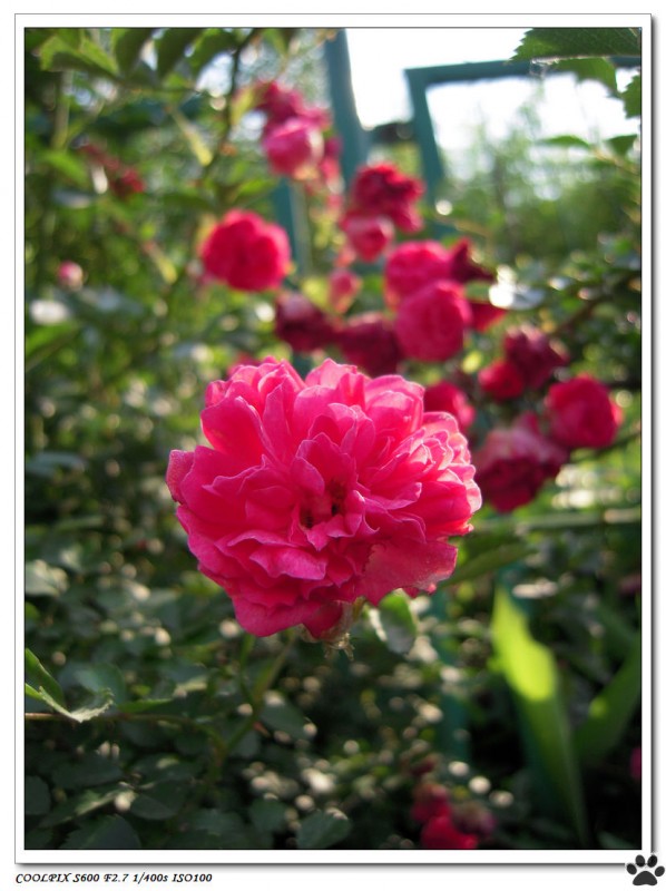 DSCN3614.JPG