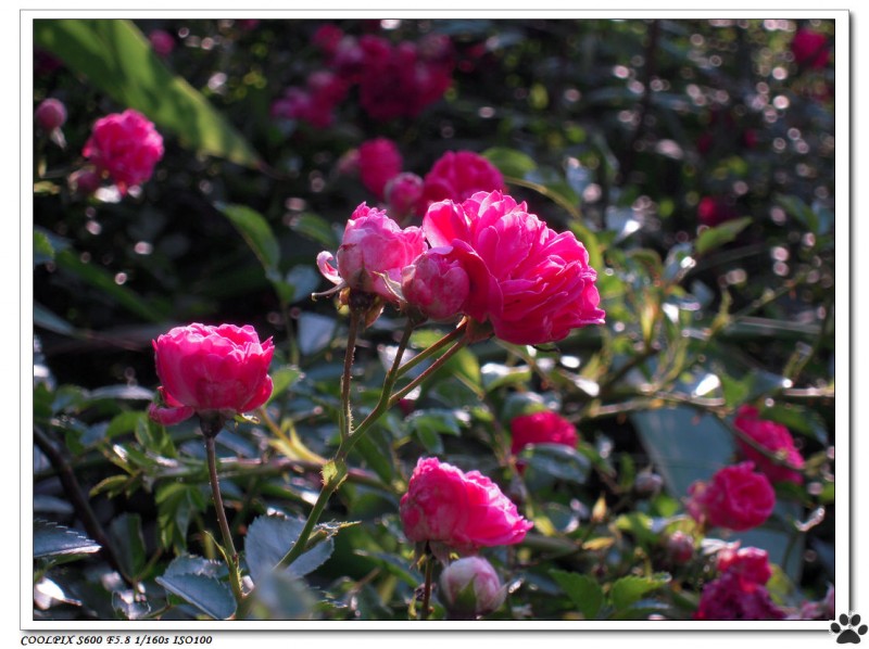DSCN3613.JPG