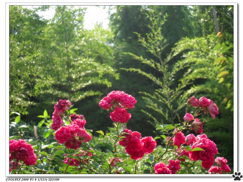 DSCN3621.JPG