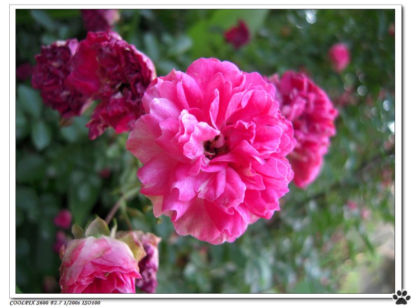 DSCN3617.JPG
