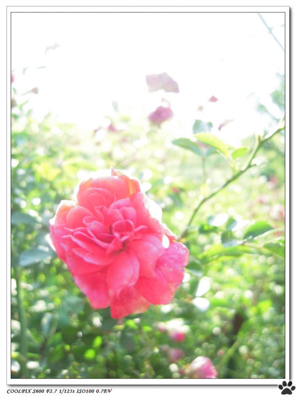 DSCN3618.JPG