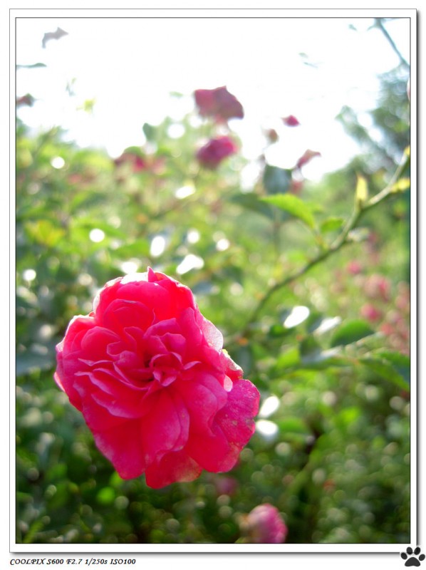 DSCN3619.JPG