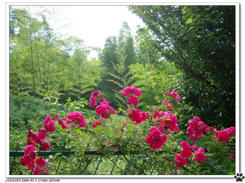 DSCN3620.JPG