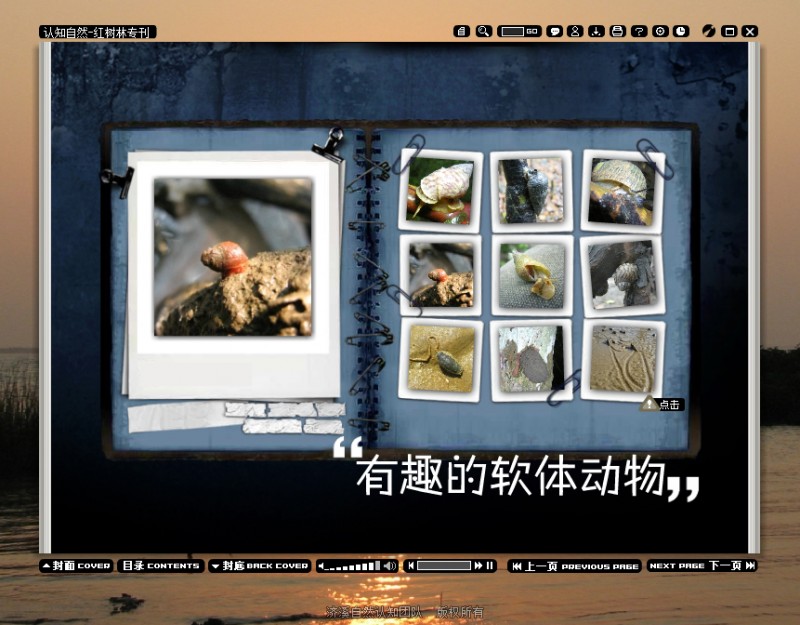 11 副本.jpg
