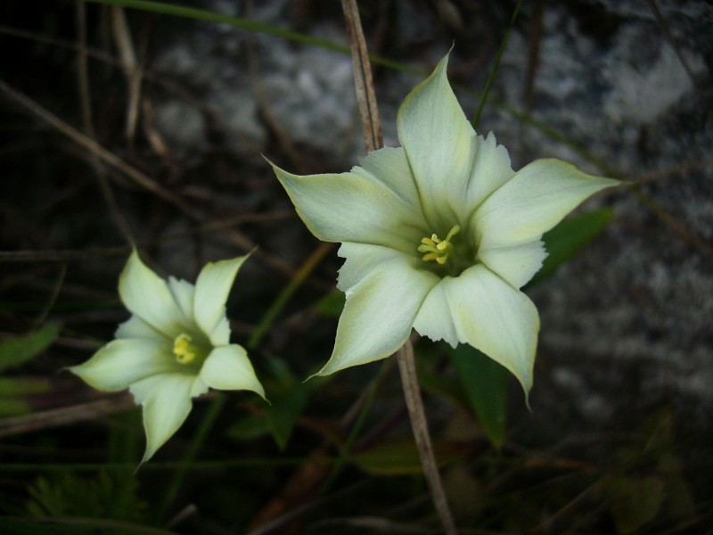 DSCI0373.jpg