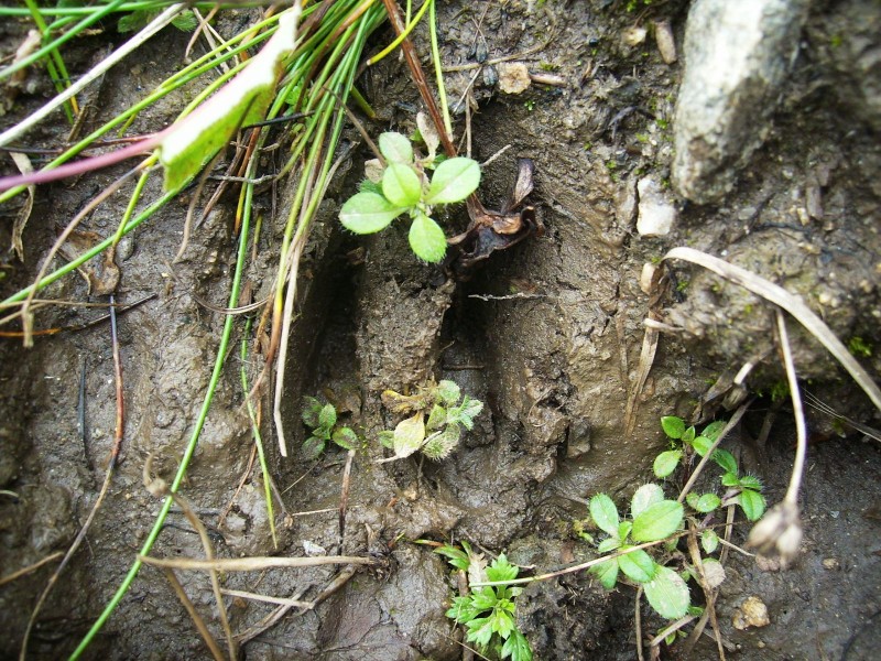 DSCI0259.jpg