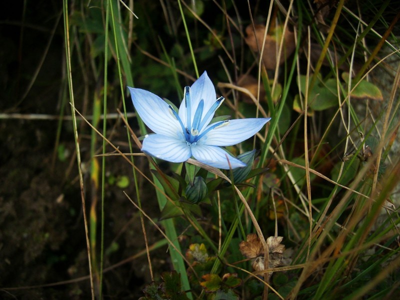 DSCI0260.jpg