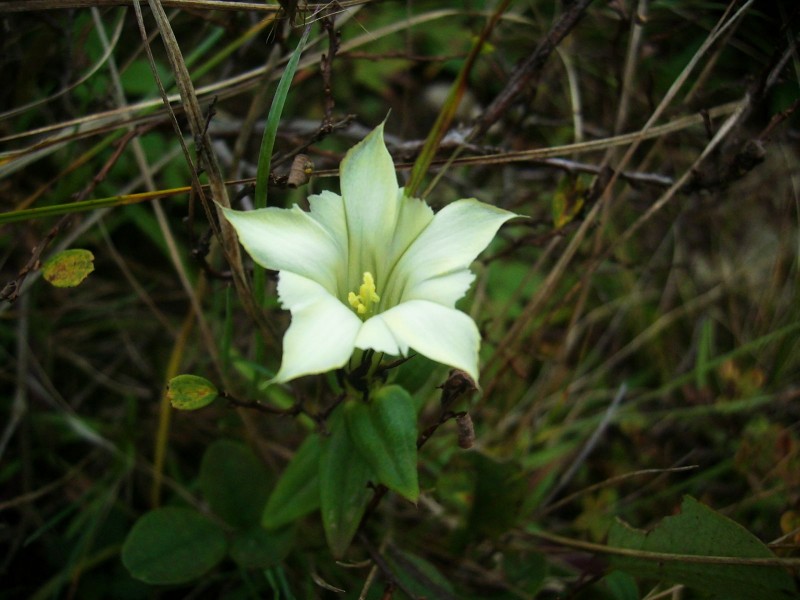 DSCI0372.jpg
