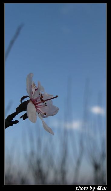 IMG_7784_nEO_IMG.jpg