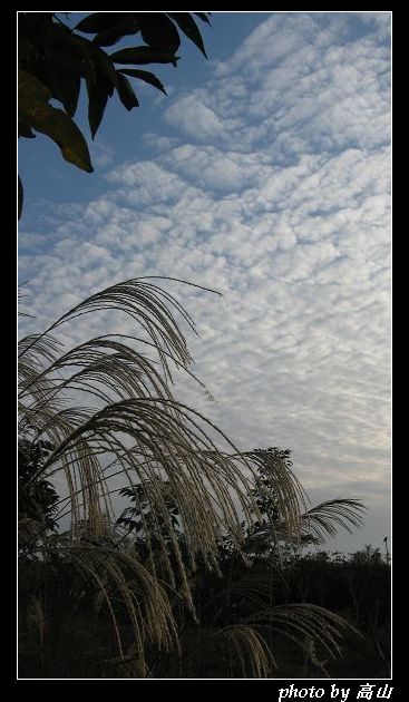 IMG_7804_nEO_IMG.jpg