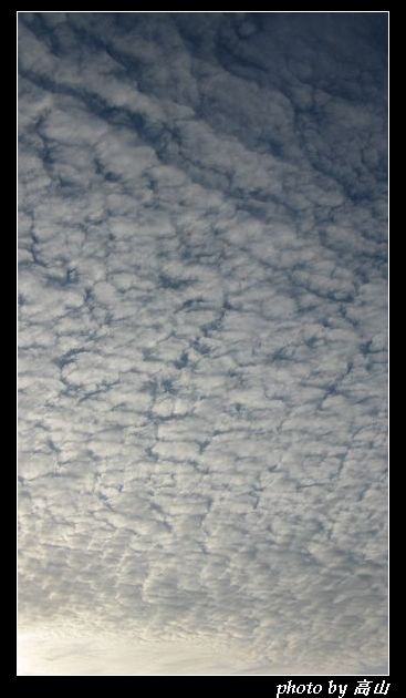 IMG_7818_nEO_IMG.jpg
