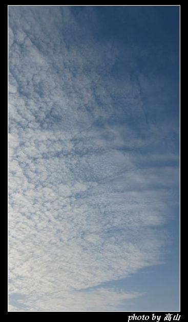 IMG_7822_nEO_IMG.jpg
