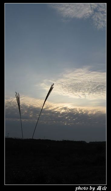 IMG_7907_nEO_IMG.jpg