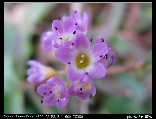 IMG_8475.jpg