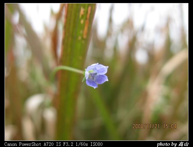 IMG_8046.jpg
