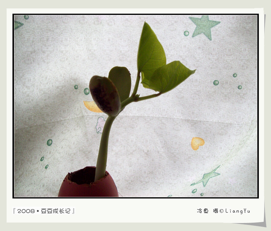 100_0498.jpg