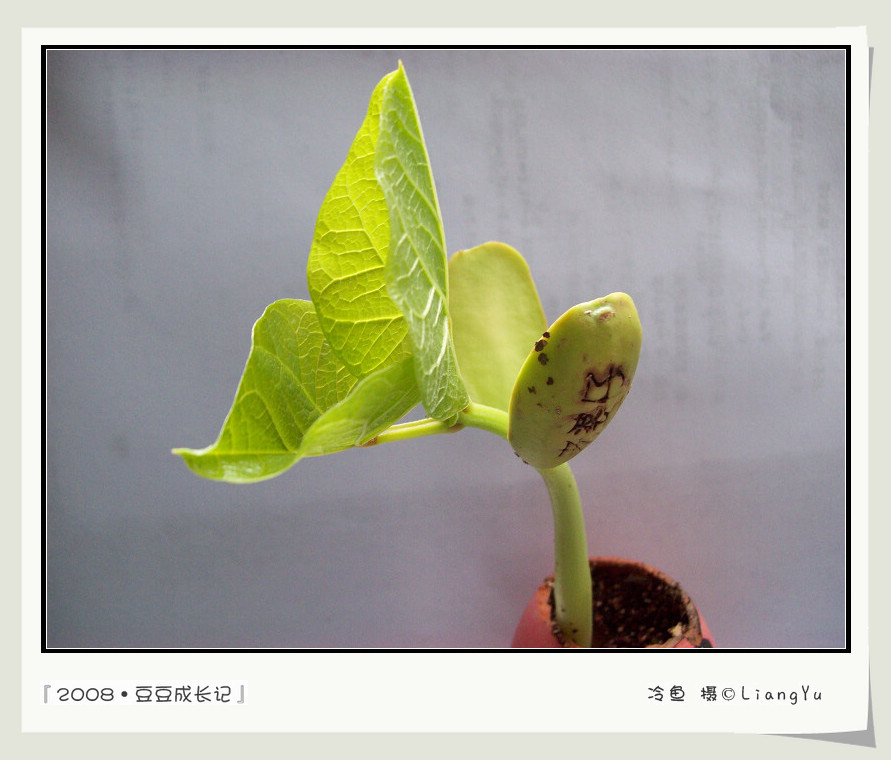 100_0505.jpg