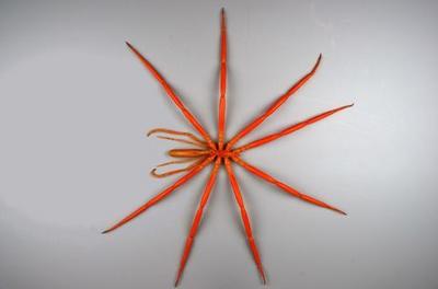 img2.jpg