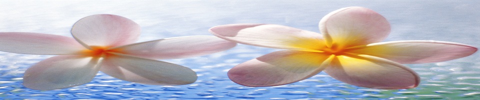 南信环协—认知部