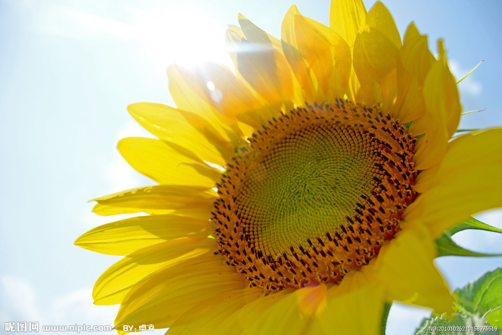 四川农业大学环保协会