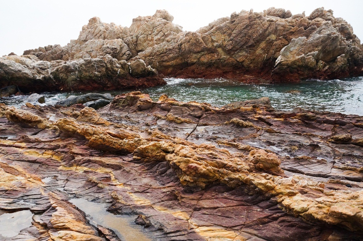 上海海洋大学环保协会
